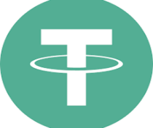 USDT.TRC20 payments